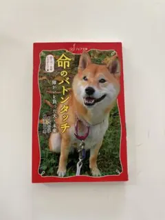 2025年最新】松田直樹の人気アイテム - メルカリ