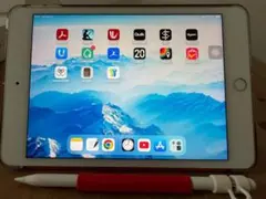 iPad mini 5 Cellular 64GB+Pencil他(90%)