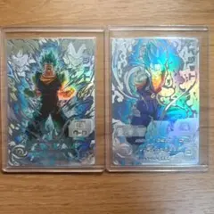 SH1-SEC2 LC ベジット,UGM4-SEC LC ベジット　2枚セット