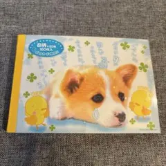 平成レトロ　クラックス　実写犬　メモ帳