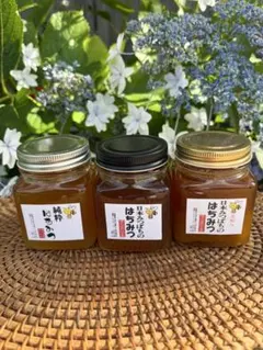 ハチミツ 日本蜜蜂の蜂蜜 奥山の奥のはちみつ 1本花粉入り - メルカリ