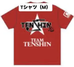 【最終値下げ】内山壮真　初ホームラン記念Tシャツ ヤクルトスワローズ 内山壮真選手 初ホームラン記念Tシャツ Lサイズ