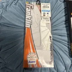 Item thumbnail for item 45665e3b-6bea-445f-a233-c4239009733c