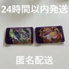 ポケモンフレンダ 第1弾　スーパートレジャー　ミライドン　ラウドボーン