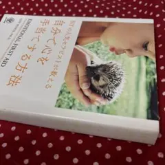 自分で心を手当てする方法