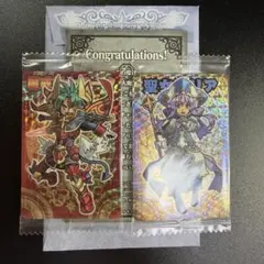 神羅万象チョコ 八柱駒チャレンジ 魔戒剣士アーク 聖女アリア プロモ 神羅万象チョコ 八柱駒チャレンジ 魔戒剣士アーク 聖女アリア プロモ
