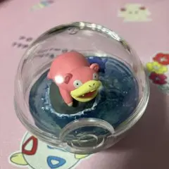 ポケモン　テラリウム　ヤドン　シェルダー