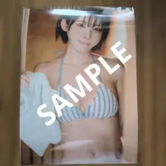 Item thumbnail for item 26c804a6-24b5-45aa-a4b6-38720cc546ac