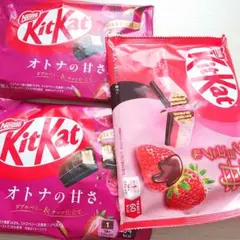 3袋 ネスレ KitKat キットカット オトナの甘さ ダブルベリー 苺ショコラ