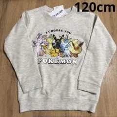 イーブイ 進化系