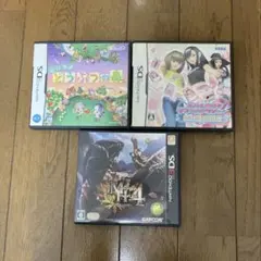 Nintendo DS 3DS 3本セット