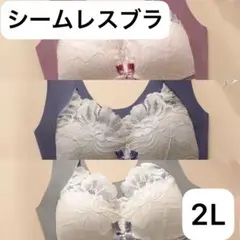 シームレスブラ　大きいサイズ　3色セット　ナイトブラ2L ノンワイヤー