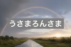うさまろんさま•*¨*•.¸♬︎専用