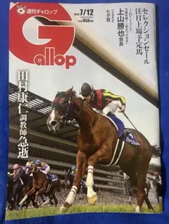 週刊Gallop 1999年10月31日号 天皇賞特集 - メルカリ