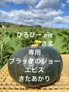 ひろぴー ʚïɞ様専用ブラックのジョー エビス きたあかり 10kg(箱込み)