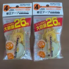 코쿠요 케시피 롱 코렉션 테이프 4mm 2개 세트