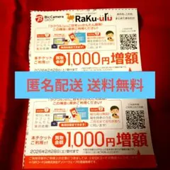 BicCamera 株主優待券 1000円増額