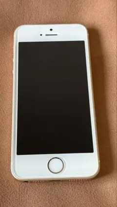 【Prophet様専用】iPhone SE 第１世代　【SIMロックあり】
