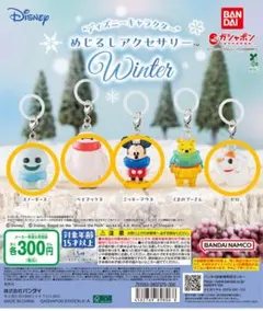 ディズニー キャラクター めじるし アクセサリー WINTER ４種セット