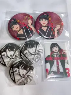 WIND BREAKER 椿野佑 セット売り