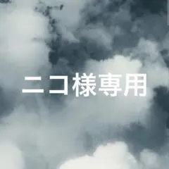 ニコ様 リクエスト 3点 まとめ商品