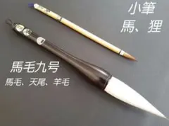 Item thumbnail for item eae88790-ebf0-43bc-a148-d0ba42cc68f4