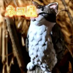 【呪物】あなたの願いを叶えてくれる不思議な猫の置物※ありな商品 2025年最新】呪物 猫の置物の人気アイテム - メルカリ