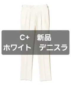 pt01 スラックス