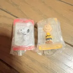 スヌーピーパッケージミニチュアコレクション スヌーピー&チャーリーブラウン