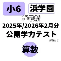 2026年最新】浜学園 公開テスト 小2の人気アイテム - メルカリ