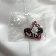 MINITEENぷっくりめじるしアクセサリー エスクプス