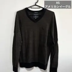 アメリカンイーグル　Ｖネックセーター
