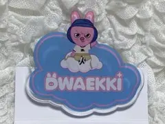 Stray Kids　スキズ　チャンビン　DWAEKKI　skzoo　バッジ