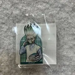 Dr.STONE オンラインくじ読書の秋編 アクリルキーホルダー 千空