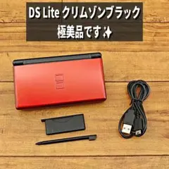 【極美品・分解整備済み】ニンテンドー DS Lite クリムゾンブラック J60