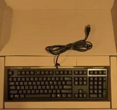 REALFORCE R3HD11英語配列 45g - メルカリ