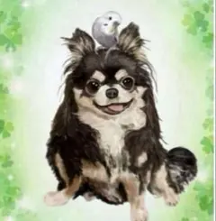 オーダーイラスト　ペット似顔絵　うちの子　犬　猫　うさぎ　ハムスター