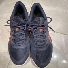 Item thumbnail for item 0f13a805-fe66-48b3-9fa8-f0e4961538b8