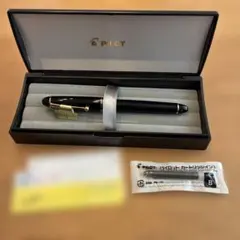 2025年最新】パイロット万年筆 カスタム742の人気アイテム