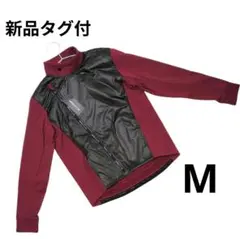 Item thumbnail for item 86aecd82-2cf5-4680-9a69-2697adfe2d23