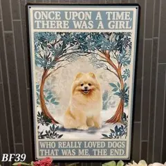 Item thumbnail for item df285029-1c7b-467b-8439-b58f85264669