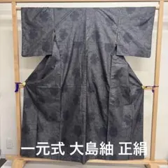 kk270 一元式 大島紬 正絹 花柄 着物