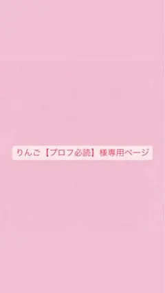 りんご【プロフ必読】様専用ページ