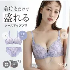 モンシェルピジョンのサムネイル