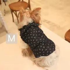 Item thumbnail for item c354ec7a-2aa2-4d24-b48b-b5ccd7ea060c