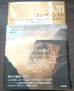 Compassion 状況にのみこまれずに、本当に必要な変容を導く、「共にいる…