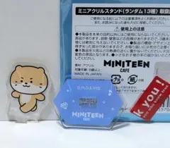 セブチ　SEVENTEEN　ミニティーン　カフェ　2025　ディノ　アクスタ