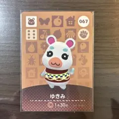 あつまれどうぶつの森 amiiboカード ゆきみ