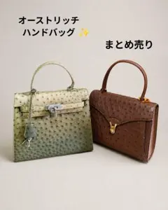 希少◎ オーストリッチレザー バッグ2点セット レトロ ヴィンテージのサムネイル