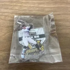 阪神タイガース 佐藤輝明 BIGアクリルスタンド2個セット - メルカリ